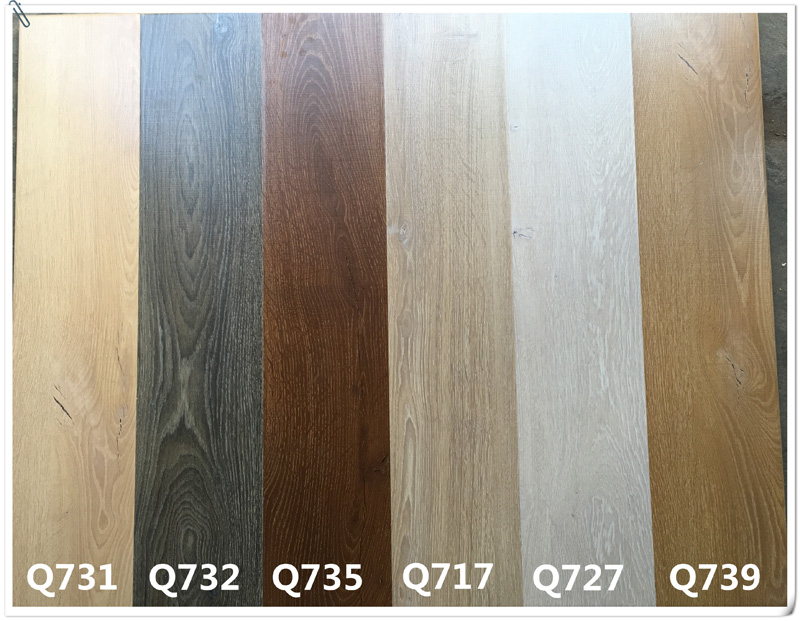 秦漢Q73系列全圖